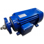 SILNIK ELEKTRYCZNY 5,5kW 400/690V 2880obr P JAMNIK 3-FAZOWY